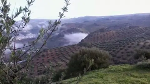 Ruta del Tempranillo Ruta del Tempranillo