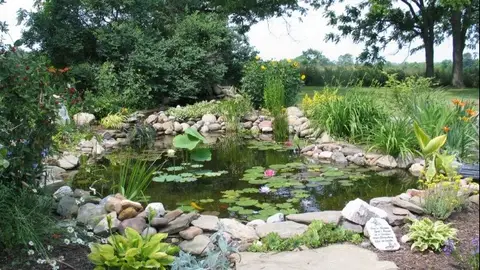 Funermostra Funermostra