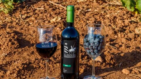 Vinos y uvas de la Mancha