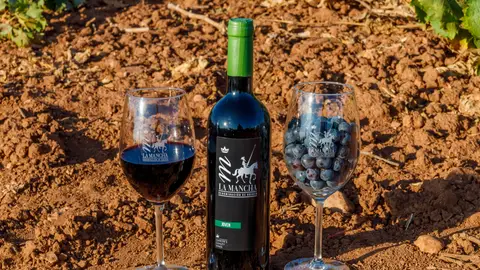 Vinos y uvas de la Mancha Vinos y uvas de la Mancha