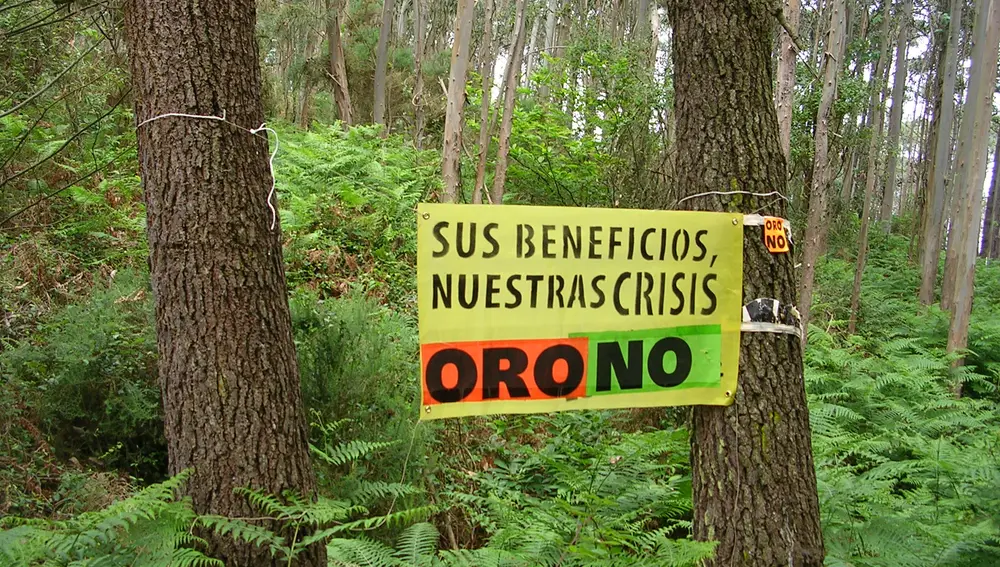 Naturalistas piden rechazar proyecto Salave, la empresa no hay depredación medioambiental ni social.