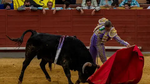 ROCIO ROMERO ROCIO ROMERO