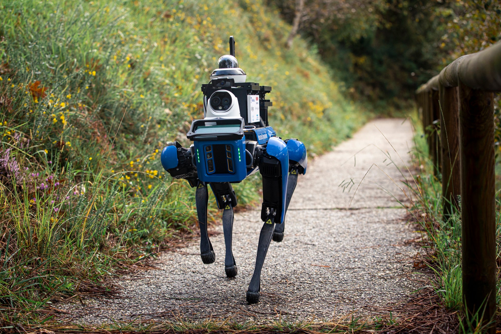 Llega al CUVI Spot, el robot vigilante. Llega al CUVI Spot, el robot vigilante.