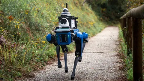 Spot, robot vigilante Spot, robot vigilante