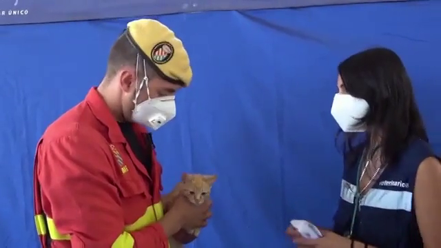 Un militar decide adoptar al gato que salvó de morir asfixiado por las cenizas del volcán de La Palma Un militar decide adoptar al gato que salvó de morir asfixiado por las cenizas del volcán de La Palma