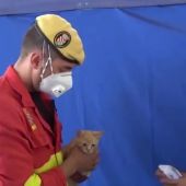 Un militar adopta al gato al que reanimó tras hallarlo asfixiado por cenizas en La Palma
