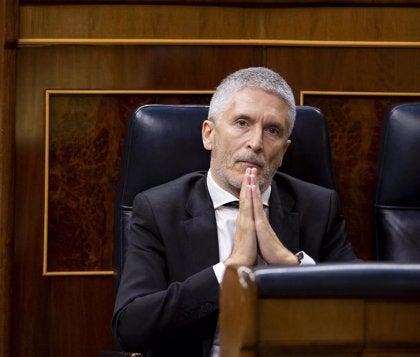 Pérez de los Cobos recurre ante el Tribunal Supremo la decisión de Marlaska de cesarle Pérez de los Cobos recurre ante el Tribunal Supremo la decisión de Marlaska de cesarle