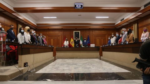 Pleno Municipal de ordenanzas