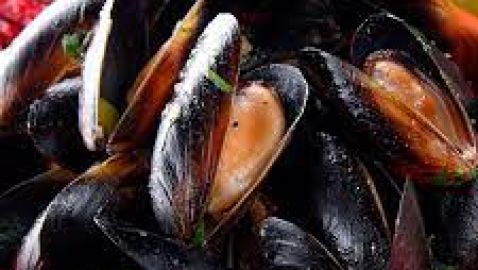Mejillones