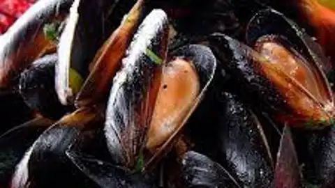 Mejillones Mejillones