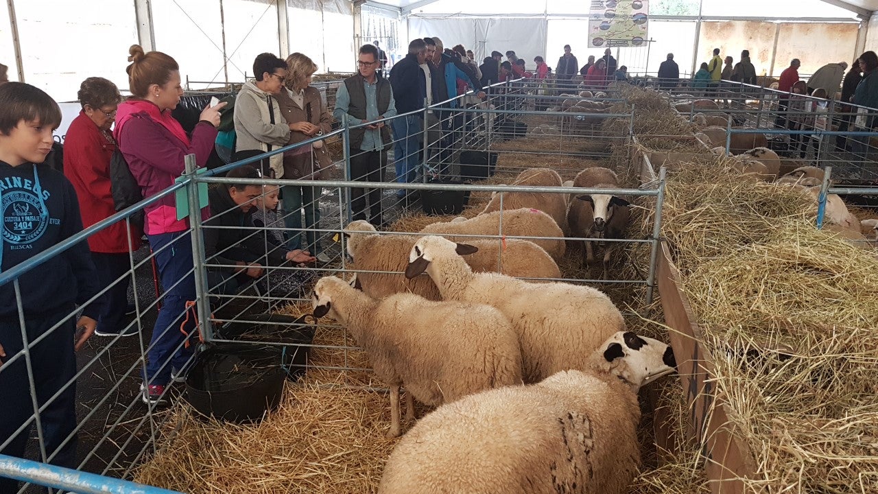 Regresa la Feria de Otoño a Biescas Regresa la Feria de Otoño a Biescas
