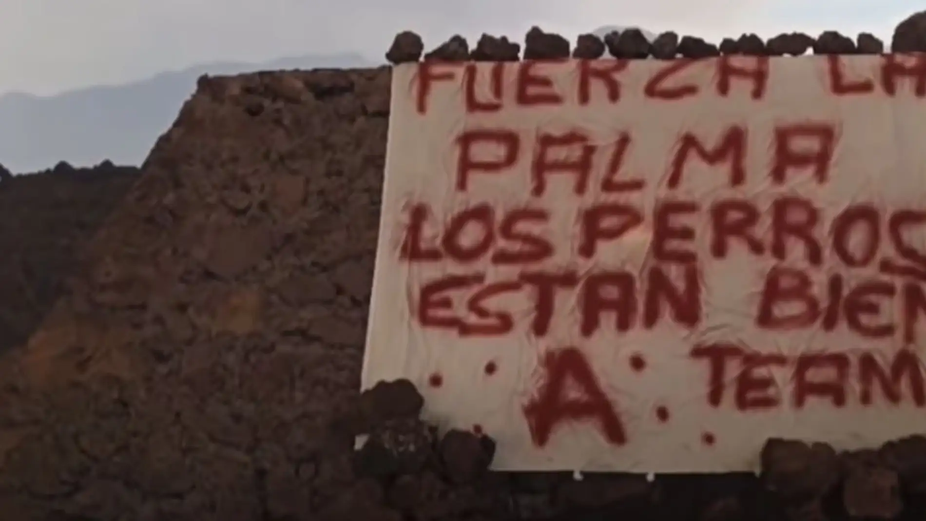 La Guardia Civil investiga quién está detrás del Equipo A por posible delito en el rescate a los perros en La Palma