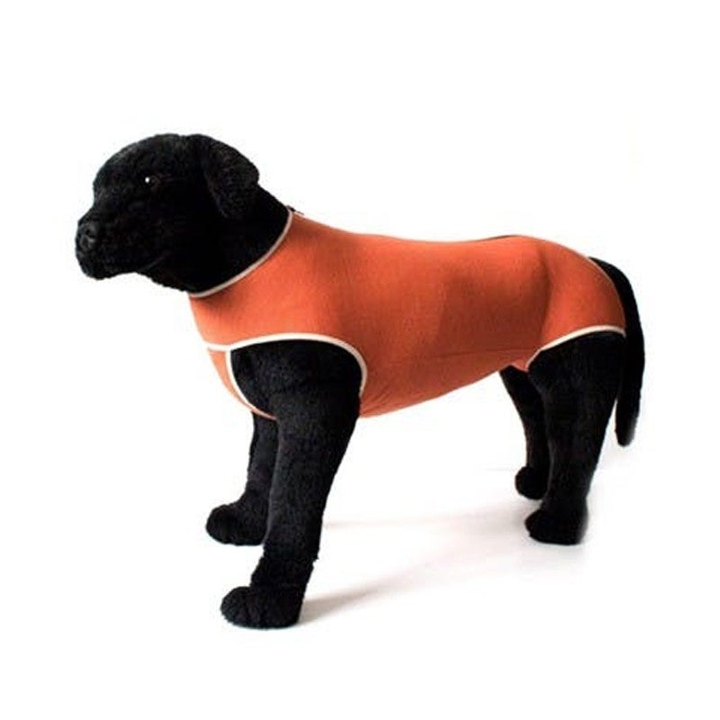 El body de cobre, un sustituto del molesto collar isabelino El body de cobre, un sustituto del molesto collar isabelino