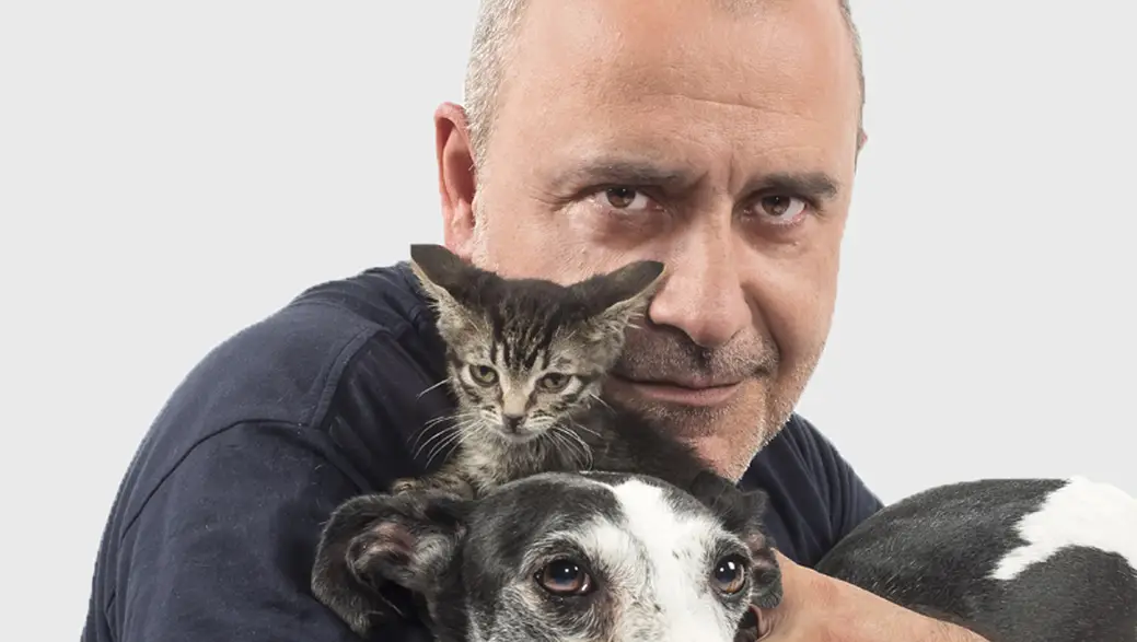 Como el perro y el gato Como el perro y el gato