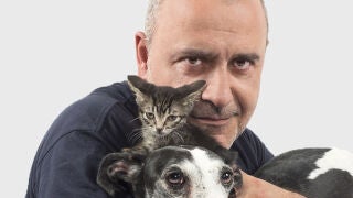 Como el perro y el gato