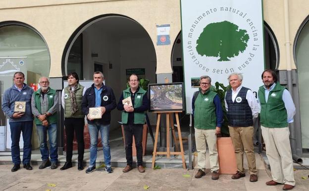 La encina milenaria de la Peana de Serón necesita fondos para su mantenimiento La encina milenaria de la Peana de Serón necesita fondos para su mantenimiento