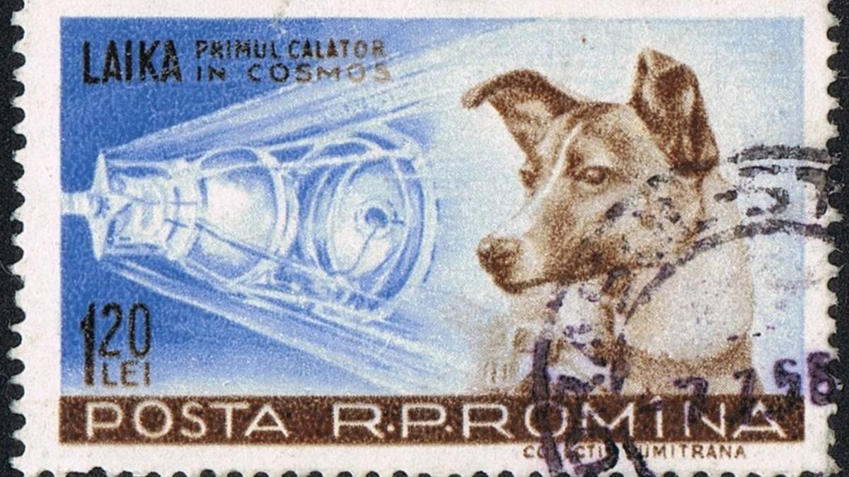 El 3 de noviembre de 1957 la Unión Soviética pone en órbita el Sputnik 2 que lleva a bordo a la perra Laika El 3 de noviembre de 1957 la Unión Soviética pone en órbita el Sputnik 2 que lleva a bordo a la perra Laika