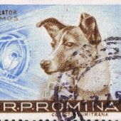 El 3 de noviembre de 1957 la Unión Soviética pone en órbita el Sputnik 2 que lleva a bordo a la perra Laika 