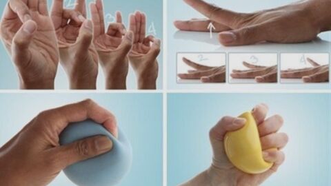 T&uacute;nel carpiano