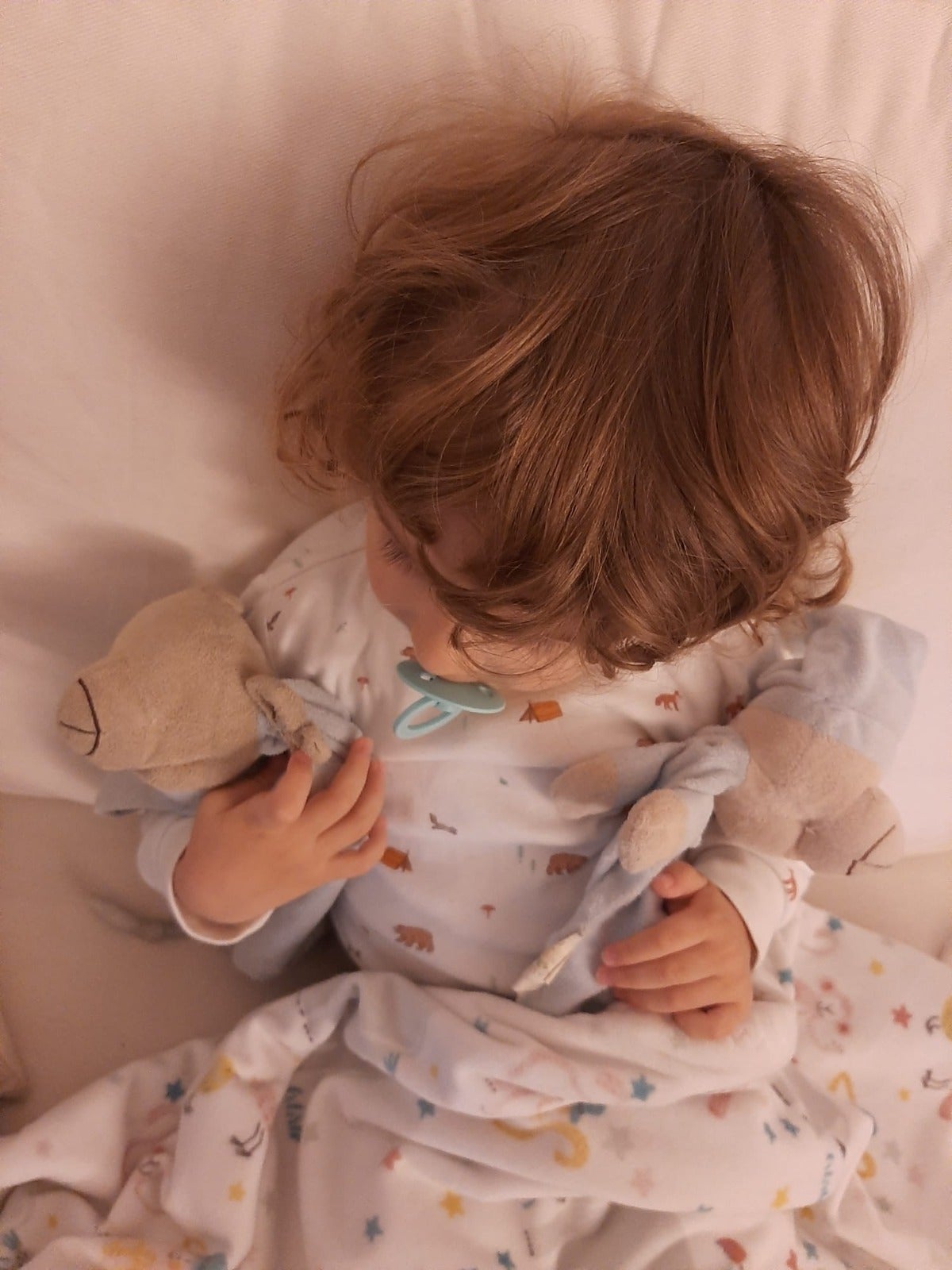 La "magia de Twitter" devuelve a Bubu a casa La "magia de Twitter" devuelve a Bubu a casa