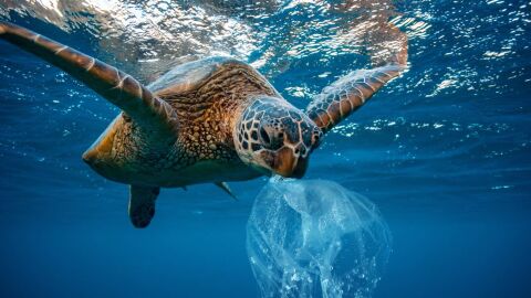 oc&eacute;anos, cambio clim&aacute;tico