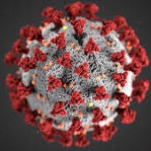 Extremadura registra un total de 150 casos positivos de coronavirus en una semana