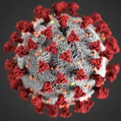 Extremadura registra un total de 150 casos positivos de coronavirus en una semana Extremadura registra un total de 150 casos positivos de coronavirus en una semana