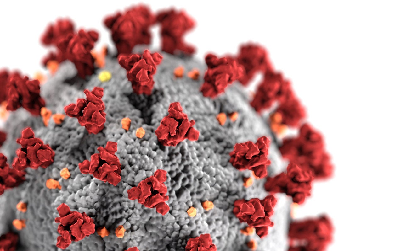 Cañada de Calatrava único municipio de la provincia de Ciudad Real sin Covid Cañada de Calatrava único municipio de la provincia de Ciudad Real sin Covid