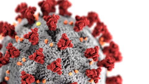 Recreaci&oacute;n de un coronavirus