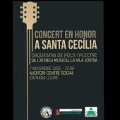 Concierto de la orquesta de pulso i púa den La Vila.