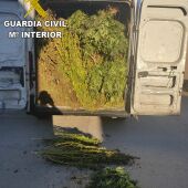 La Guardia Civil detiene a dos personas que viajaban con 840 kilos en plantas de marihuana en Alcaudete de la Jara