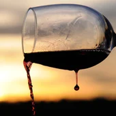 Copa de vino Copa de vino