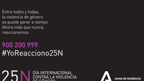25N Andaluc&iacute;a
