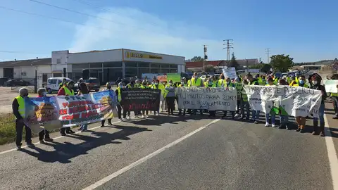 Almodóvar Almodóvar