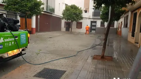 Operarios de Sadeco limpian las calles del centro Operarios de Sadeco limpian las calles del centro
