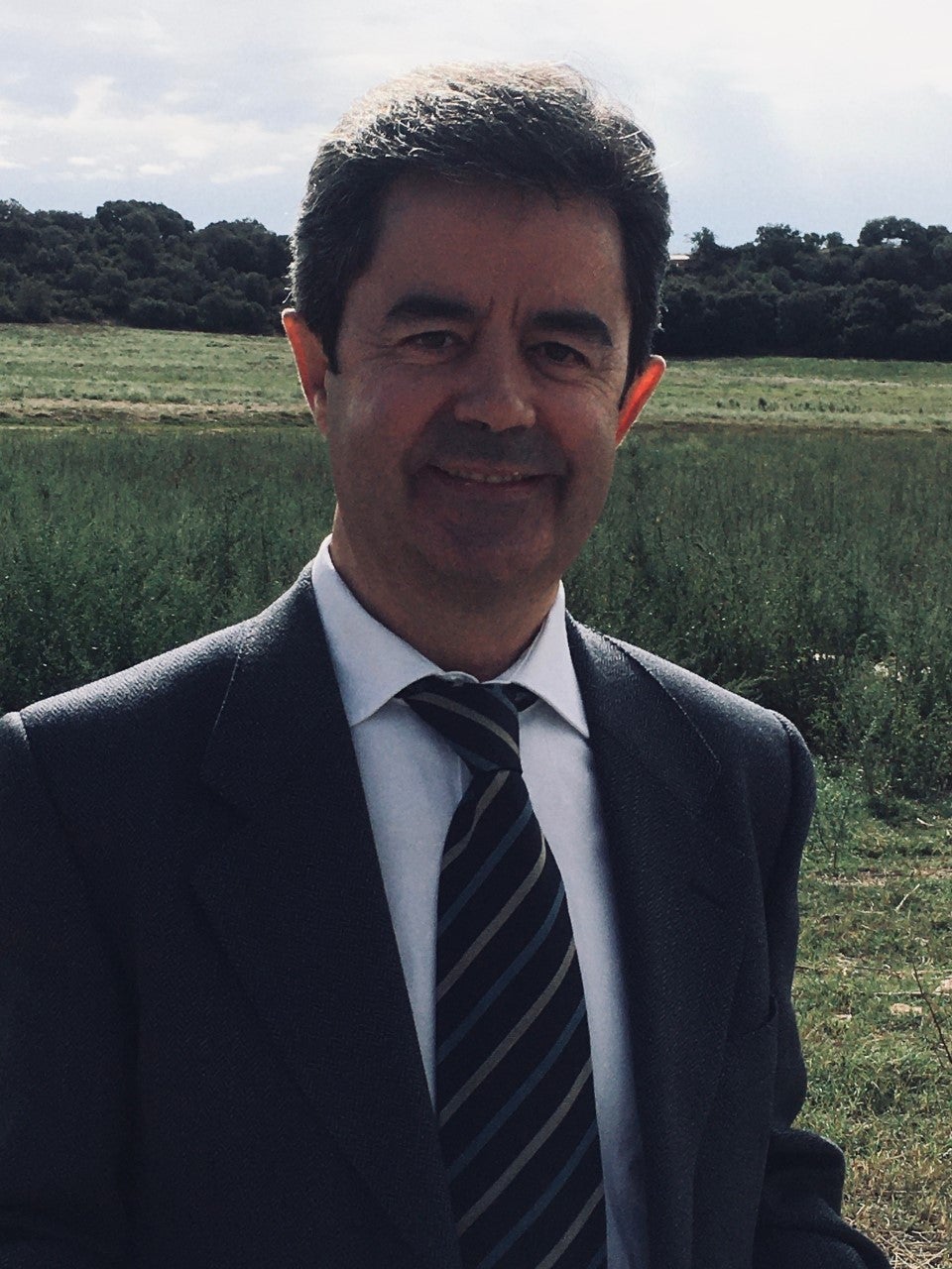 Felipe confía en mantener la recaudación con las plusvalías Felipe confía en mantener la recaudación con las plusvalías