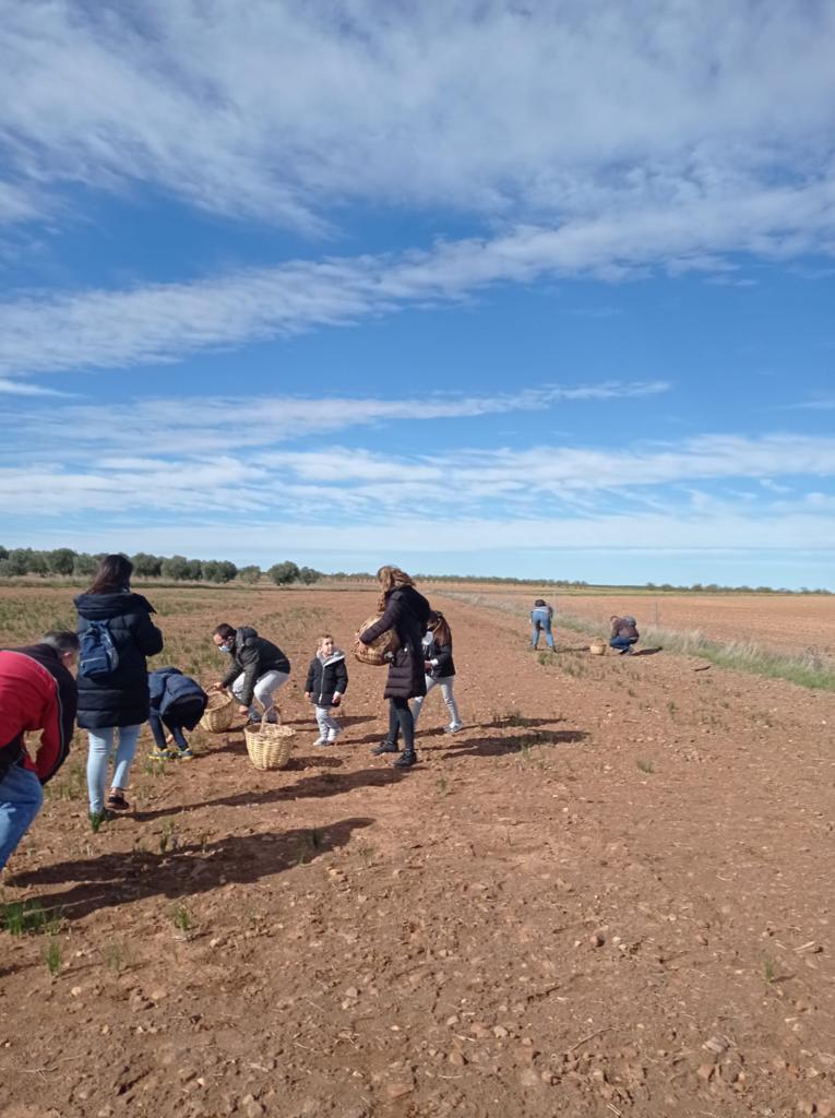 Las Jornadas Azafraneras de Villafranca de los Caballeros atrajeron al turismo familiar y grupos de amigos Las Jornadas Azafraneras de Villafranca de los Caballeros atrajeron al turismo familiar y grupos de amigos