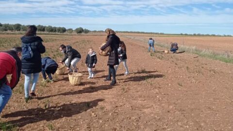 Jornadas azafraneras en Villafranca