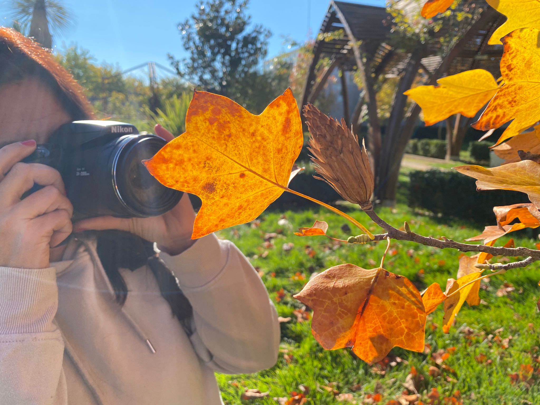 Tus fotografías, hechas en el Jardín Botánico, podrían formar parte de una exposición itinerante Tus fotografías, hechas en el Jardín Botánico, podrían formar parte de una exposición itinerante