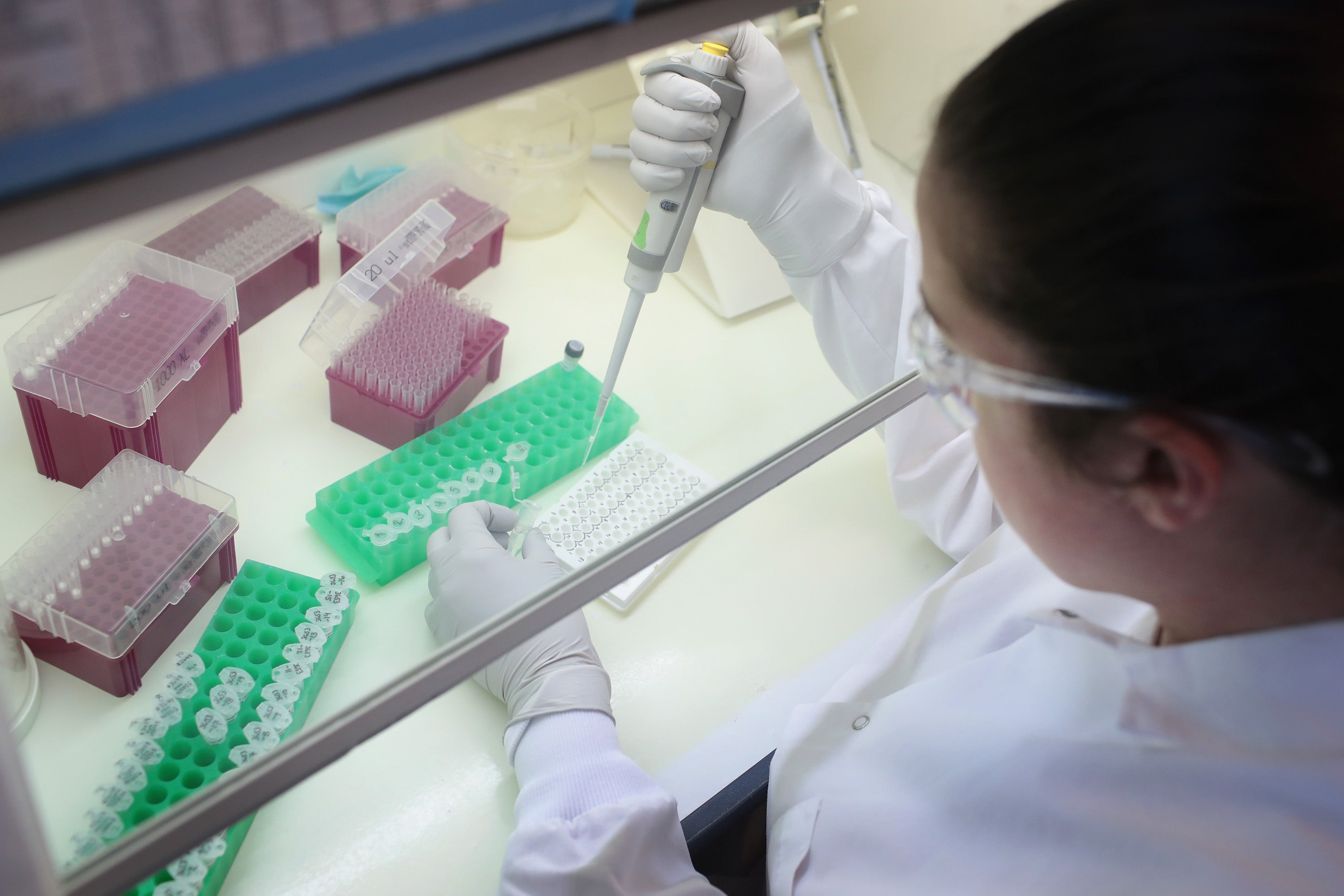 Identifican a un segundo paciente con VIH que parece haber superado el virus sin tratamiento Identifican a un segundo paciente con VIH que parece haber superado el virus sin tratamiento