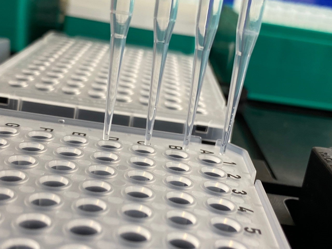 16 becas de iniciación a la investigación para matriculados en primer curso de grado de la UCLM 16 becas de iniciación a la investigación para matriculados en primer curso de grado de la UCLM