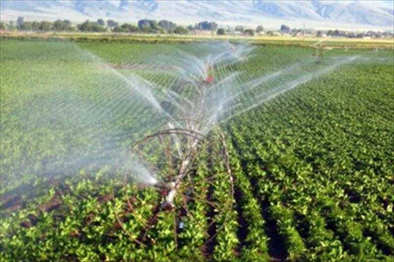 Ninguna masa de agua de Alto Guadiana va a participar en las reuniones de la CHG Ninguna masa de agua de Alto Guadiana va a participar en las reuniones de la CHG