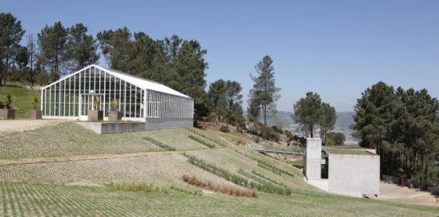 O Concello achegará a natureza á cativada no Parque de Montealegre O Concello achegará a natureza á cativada no Parque de Montealegre