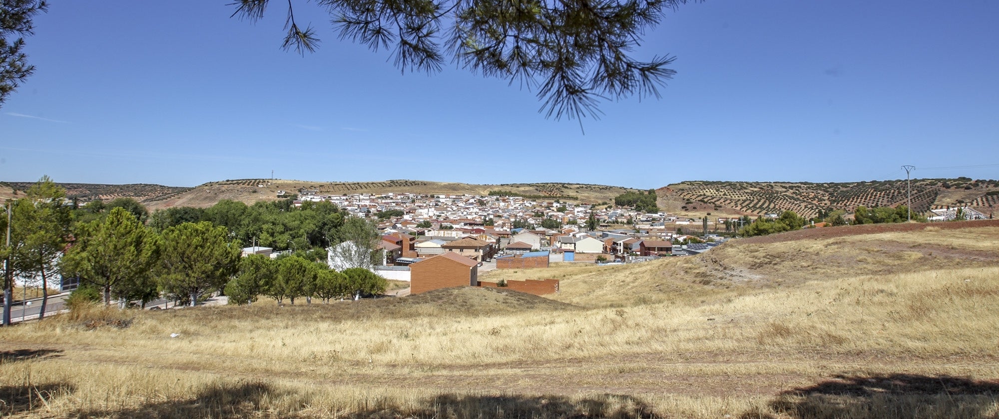 Cuatro son de nuestra comarca: Carrizosa, Villamanrique, Albaladejo y Castellar de Santiago Cuatro son de nuestra comarca: Carrizosa, Villamanrique, Albaladejo y Castellar de Santiago