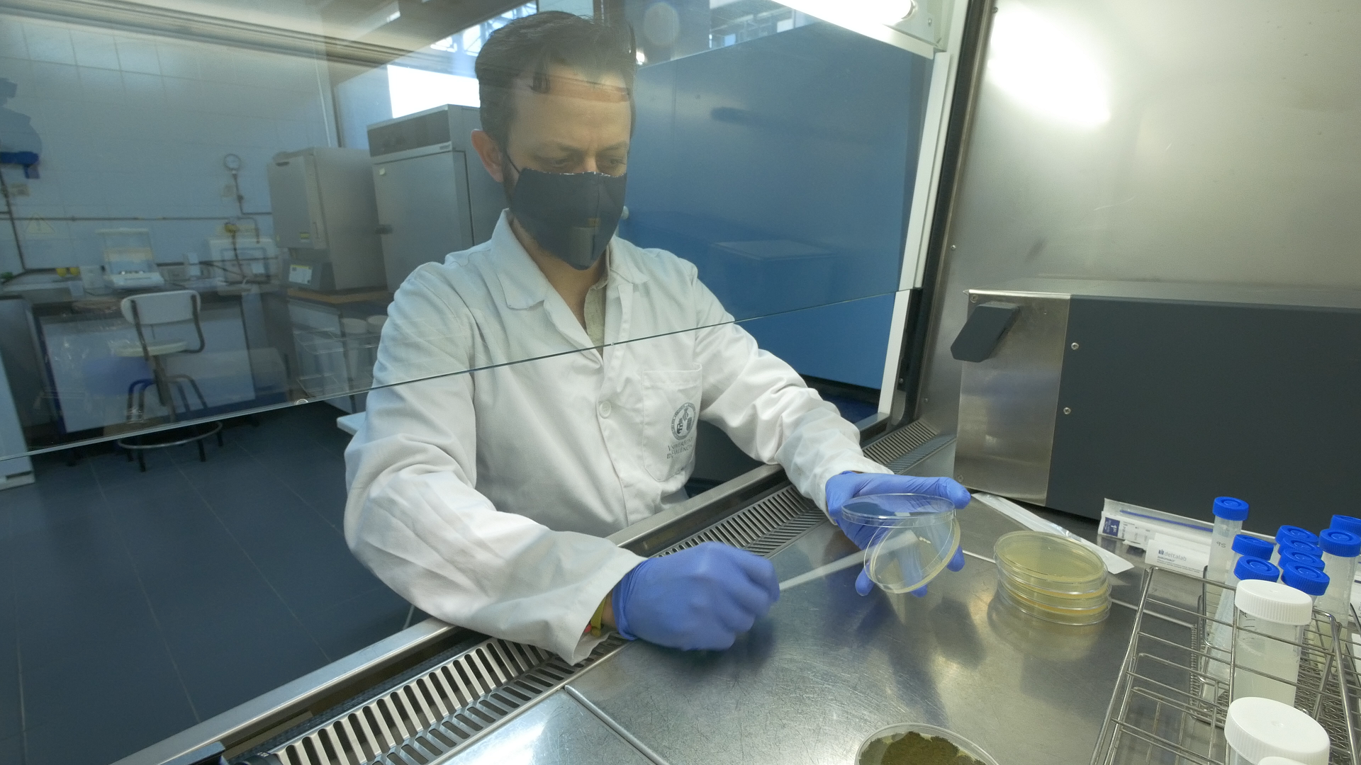 Envases bioactivos para queso, que alarguen su vida útil mediante la valorización de residuos lácteos Envases bioactivos para queso, que alarguen su vida útil mediante la valorización de residuos lácteos
