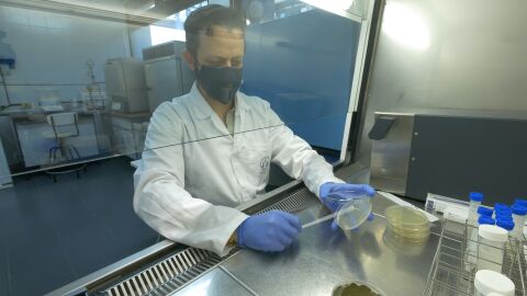 Aimplas crea bioenvases 