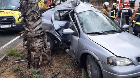 Colisión del vehículo contra una palmera Colisión del vehículo contra una palmera