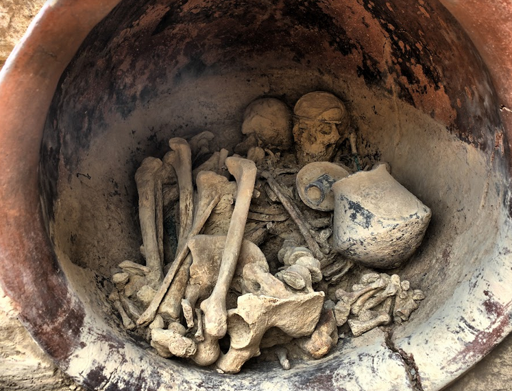 Descubren cambios genéticos y sociales producidos en la Edad de Bronce tras analizar 136 esqueletos argáricos Descubren cambios genéticos y sociales producidos en la Edad de Bronce tras analizar 136 esqueletos argáricos