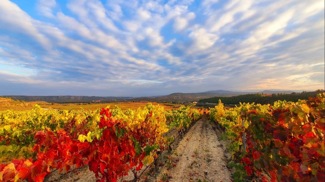 Más de Uno Álava 18/11/2021 Más de Uno Álava 18/11/2021