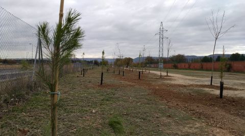 La plantaci&oacute;n de 1000 &aacute;rboles dota a Alcal&aacute; de Henares de un nuevo pulm&oacute;n verde al sur de la A2